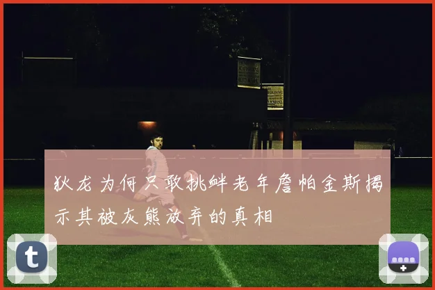 狄龙为何只敢挑衅老年詹帕金斯揭示其被灰熊放弃的真相