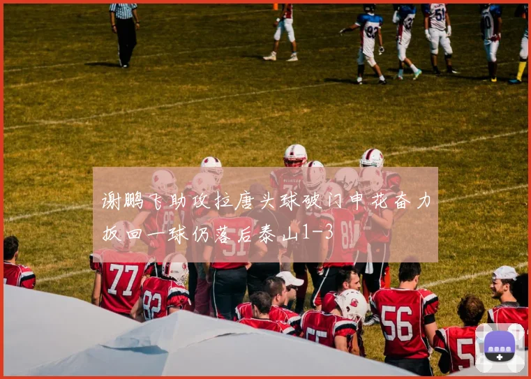 谢鹏飞助攻拉唐头球破门申花奋力扳回一球仍落后泰山1-3